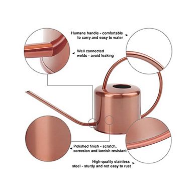 Stainless Steel Long Spout Water Can