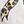Ivory Cheetah Bow