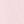 Pink Sweet Cherry
