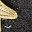 Black Gold Tone
