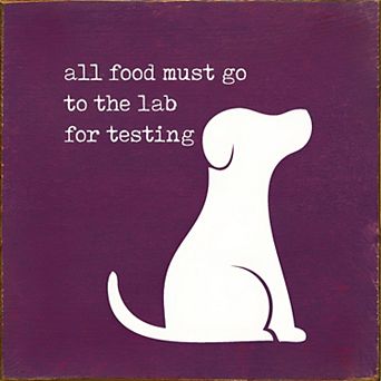 Humorous Dog Quote Wood Sign 7x7 Square Wall Hanging or Countertop Decor for Pet Lovers