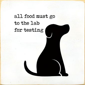 Humorous Dog Quote Wood Sign 7x7 Square Wall Hanging or Countertop Decor for Pet Lovers
