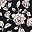 Black Pretty Roses