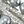 Silver Tone Gray