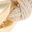 Gold Tone