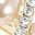 Gold Tone Champagne