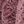Cameo Pink