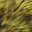 Yellow Black