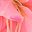 Rose Pink
