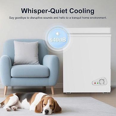 7.0 Cu Ft Chest Freezer With All-climate Compressor