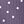 Purple And White Dots