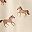Beige Horses