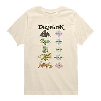 Boys 8-20 How To Train Your Dragon Infograph Graphic Tee