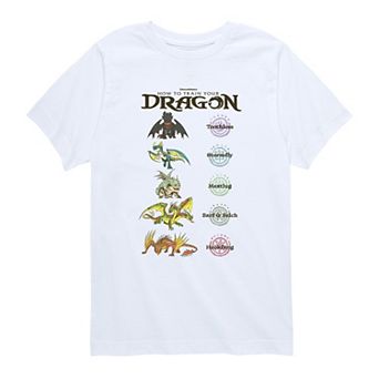 Boys 8-20 How To Train Your Dragon Infograph Graphic Tee