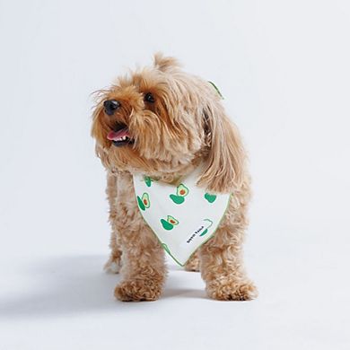 Avocado Bandana
