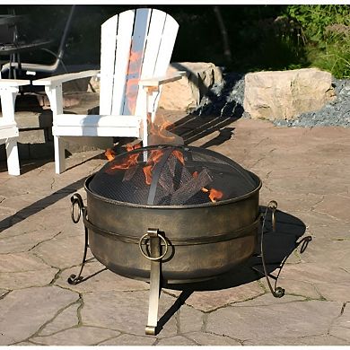 24-Inch Wood Burning Fire Pit with Spark Screen and Poker for Patio and Backyard Use Black and Gold