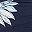 Dark Blue Multicolor