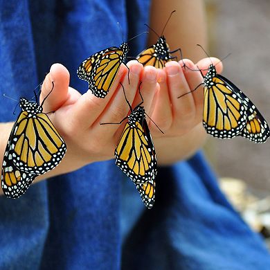 Nature Bound Butterfly Habitat & Terrarium - Live Insect Growing Kit, 24-Inch Net