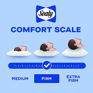 Sealy Dreamlife® Aromatherapy Tranquil Lavender Bed Pillow