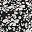 Black Ivory Print