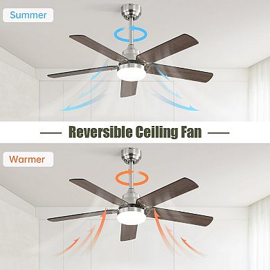 ELEMENT ACE 42 Inch Modern Indoor Outdoor Ceiling Fan with LED Light and Remote Control