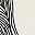 Black White