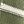 Olive Stripe