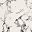 White Marble