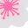 White Rose Pink