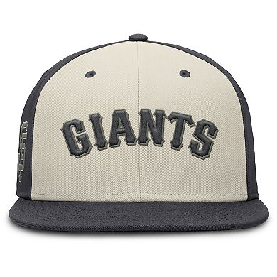 Men's Nike Anthracite San Francisco Giants Dri-FIT True Fitted Hat