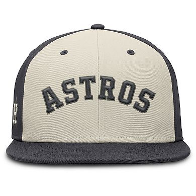 Men's Nike Anthracite Houston Astros Dri-FIT True Fitted Hat
