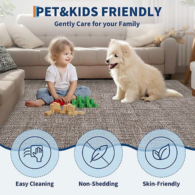 Modern Solid Color Area Rug Machine Washable Non Slip Pet Friendly for Living Room Bedroom