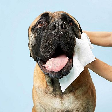 DOG by Dr Lisa 80-Pack DOG Wipes