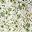 Cream Olive Sage