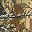 Brown Camo