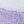 Purple White