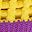 Yellow Purple