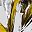 Gold Tone Silver Tone