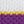 White Purple