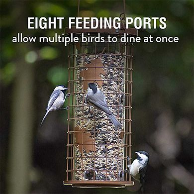 Squirrel Stumper Wild Bird Feeder