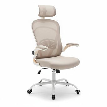 Ergonomic Mesh Office Chair, Adjustable Lumbar Support & Flip-Up Arms for Home Office Study Room