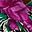 Purple Floral