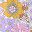 Pink Purple Flowers
