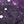 Black Galaxy