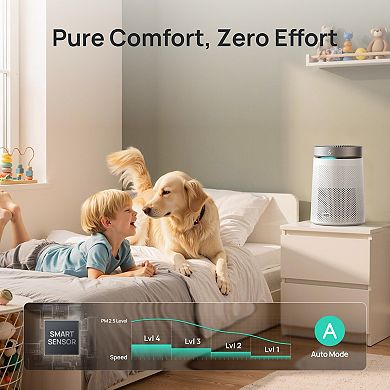 DREO Smart Air Purifier Macro 416