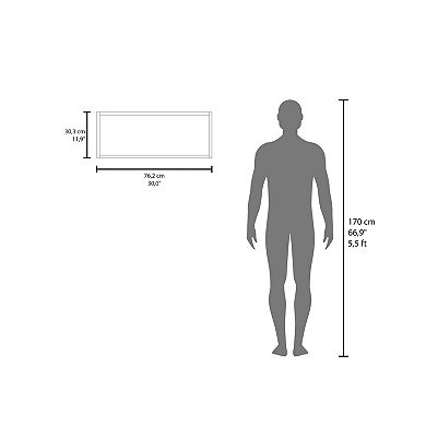 Ayden Wall Cabinet, 1 Spacious Shelf