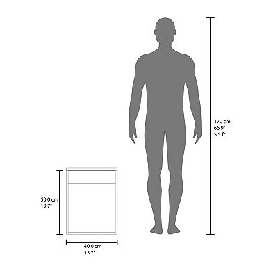Bothell Bathroom Vanity, 1 Door