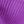 Purple White