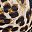 Black Leopard