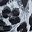 Grey Leopard